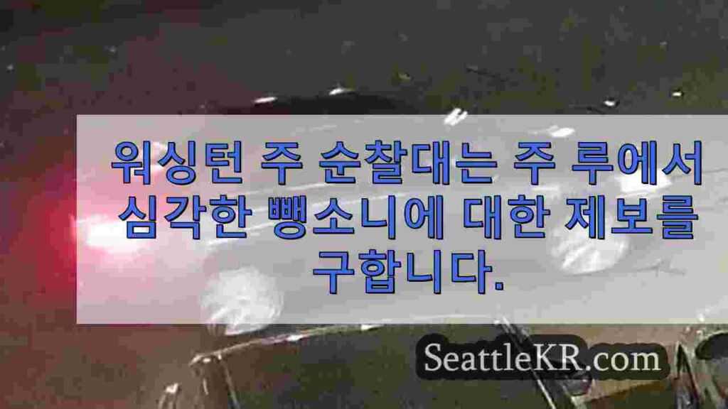 워싱턴 주 순찰대는 주 99 번 국도에서 심각한 뺑소니에 대한 제보를