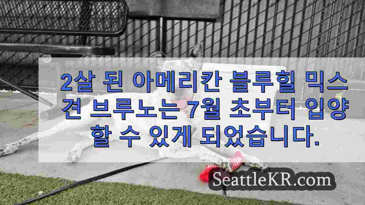 시애틀 뉴스 SeattleKR