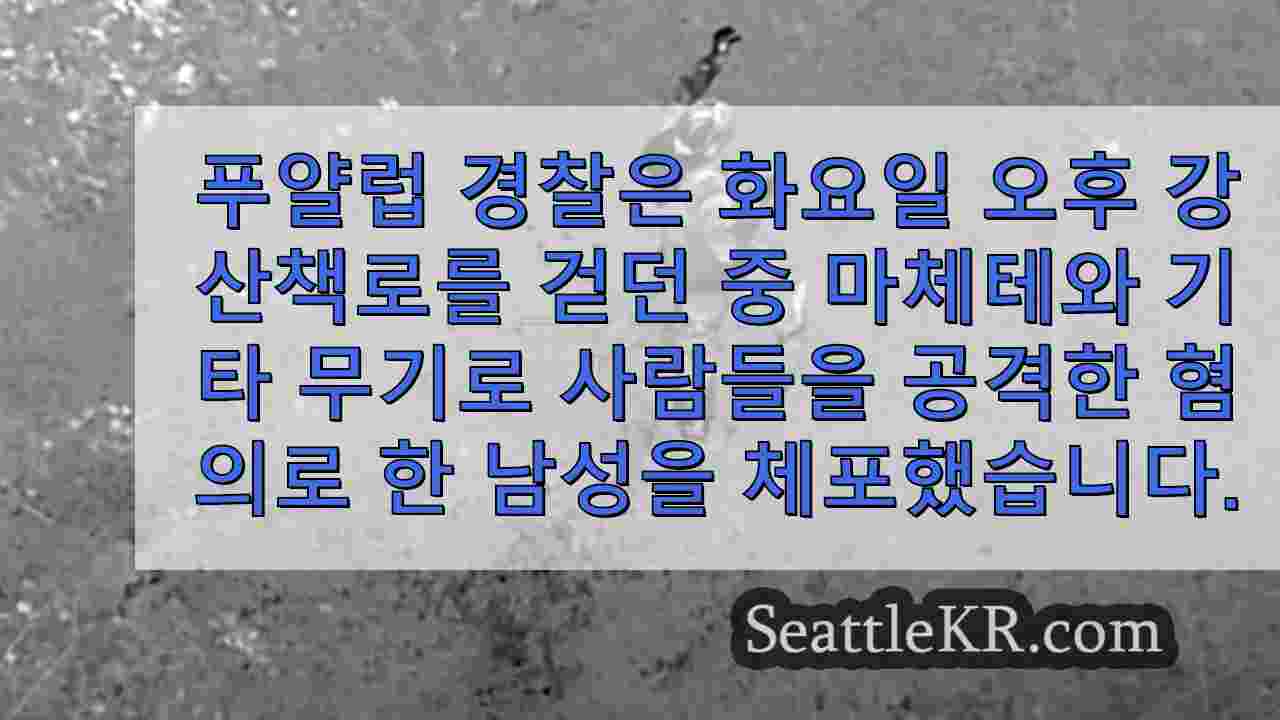 시애틀 뉴스 SeattleKR