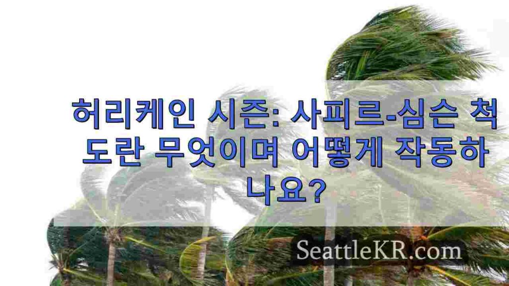 허리케인 시즌: 사피르-심슨 규모란 무엇이고 어떻게 작동하며 카테고리