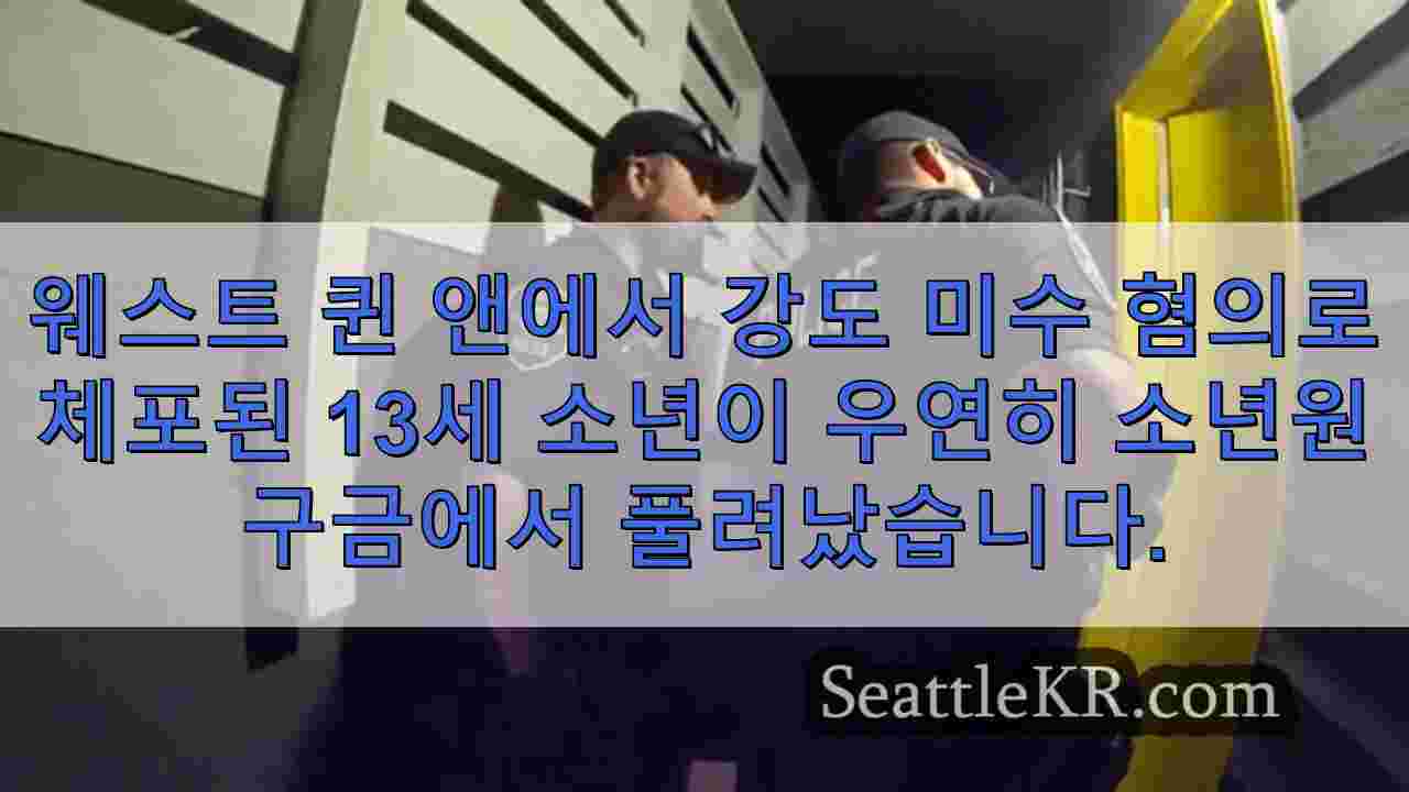 칼을 든 강도 미수 혐의로 체포된 소년이 소년원에서 잘못 풀려났다.