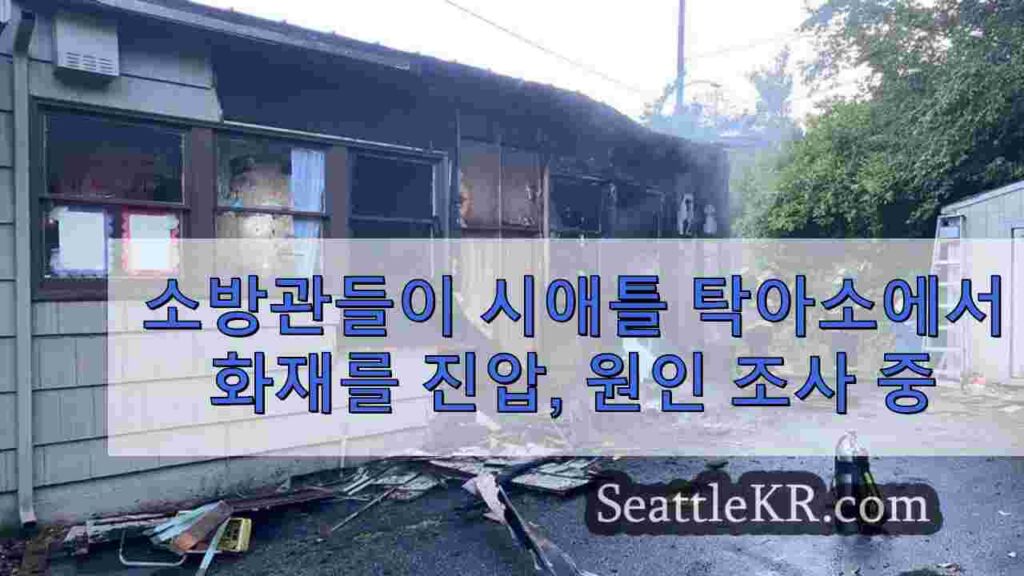 소방관들이 시애틀 탁아소에서 화재를 진압, 원인 조사 중