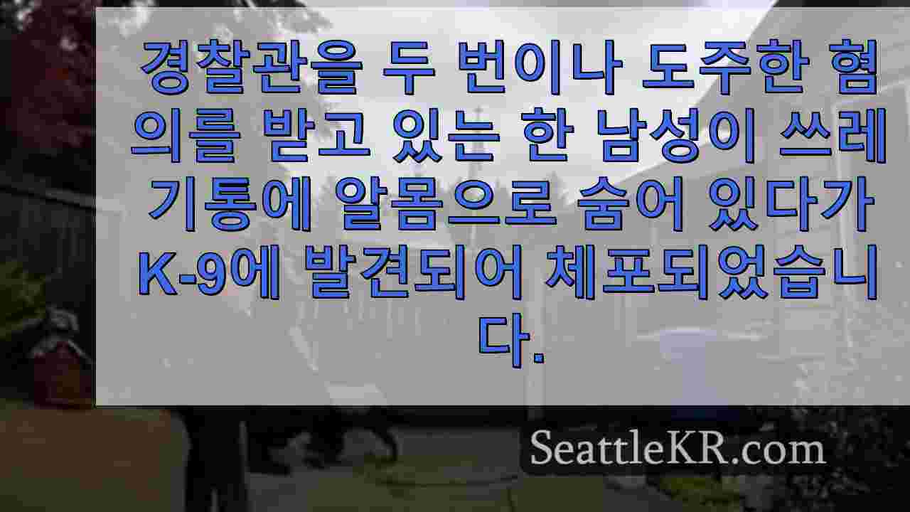 시애틀 뉴스 SeattleKR