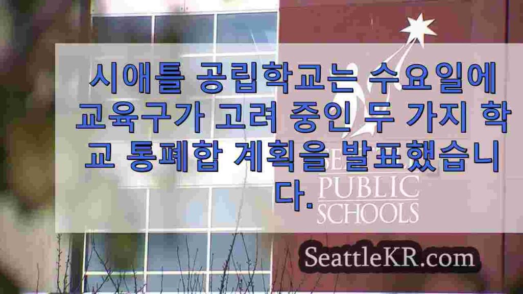 이 시애틀 학교들은 새로운 통폐합 계획안에 따라 문을 닫을 수 있습니다.