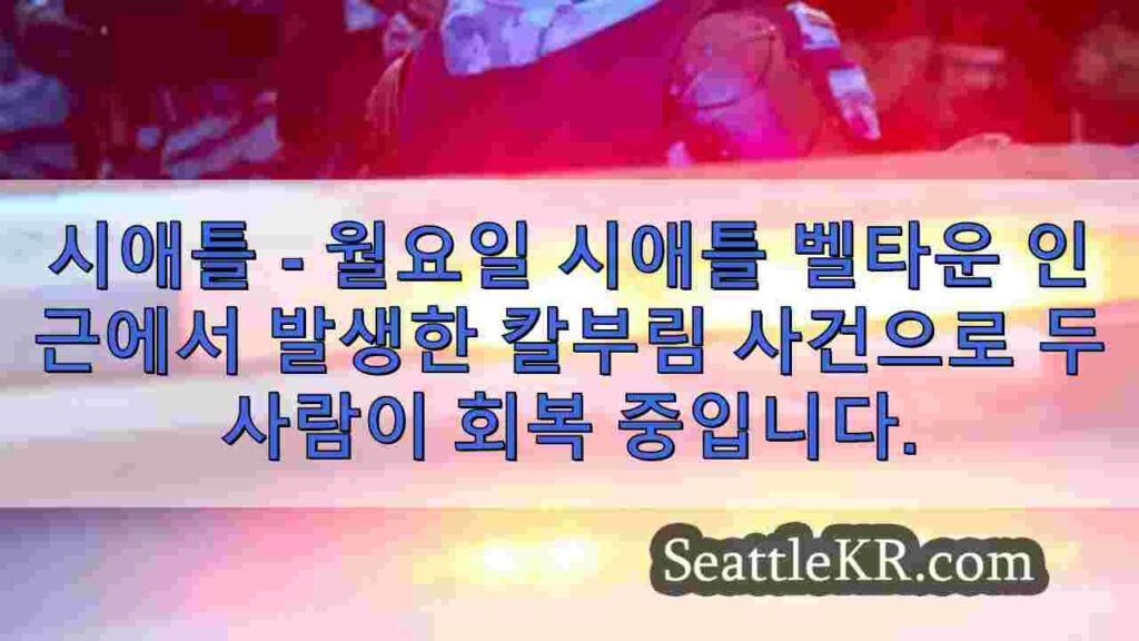 시애틀 벨타운 인근에서 칼부림 후 부상자 2명 발생