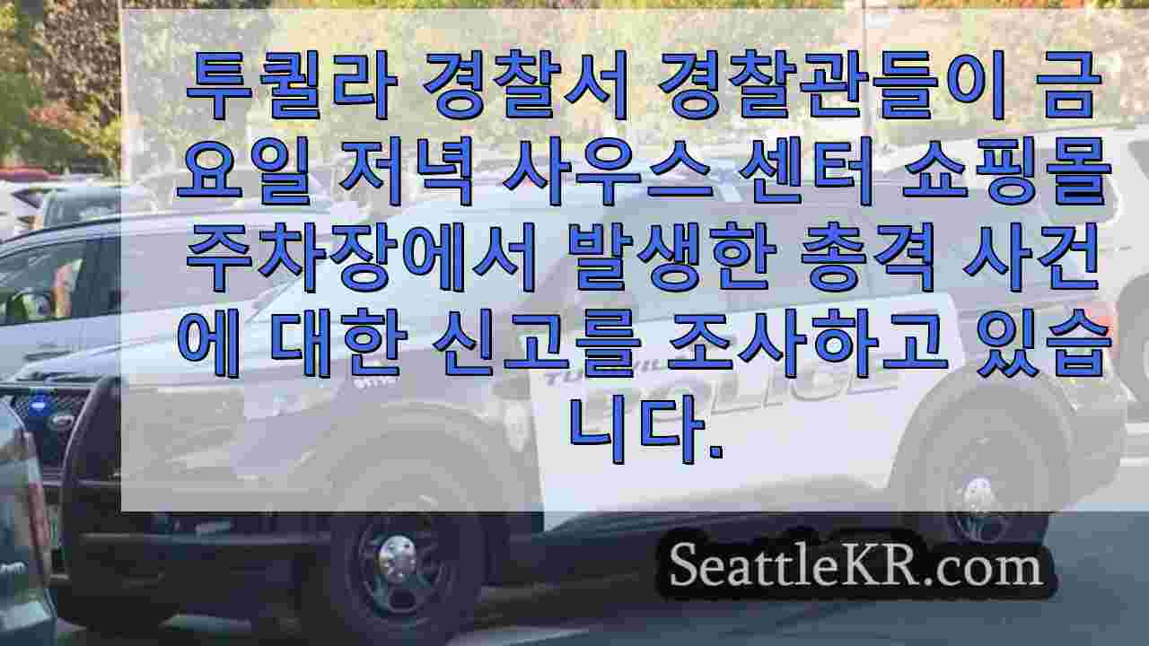 시애틀 뉴스 SeattleKR