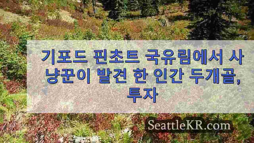 기포드 핀초트 국유림에서 사냥꾼이 발견한 사람 두개골, 조사 진행 중