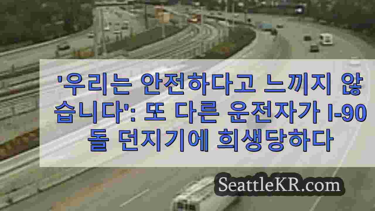 '우리는 안전하다고 느끼지 않습니다': 또 다른 운전자가 I-90 돌