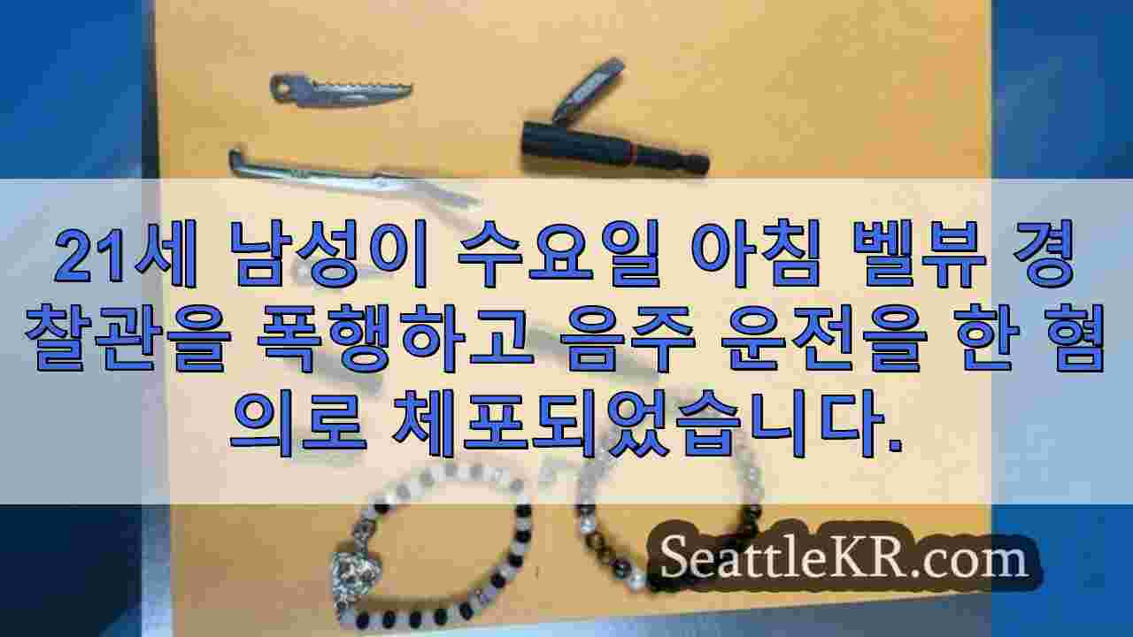 시애틀 뉴스 SeattleKR