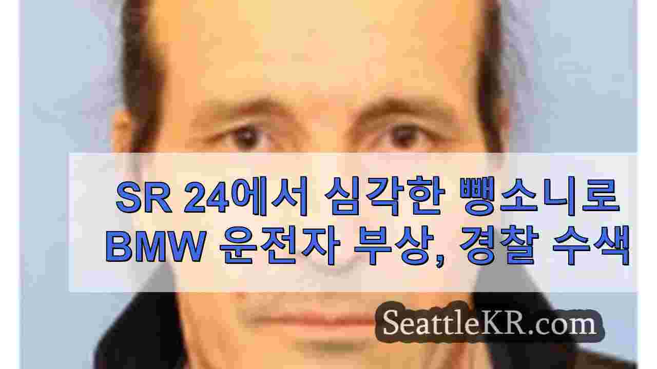 SR 24에서 심각한 뺑소니로 BMW 운전자가 부상 당하고 경찰이 용의자를 수색합니다.