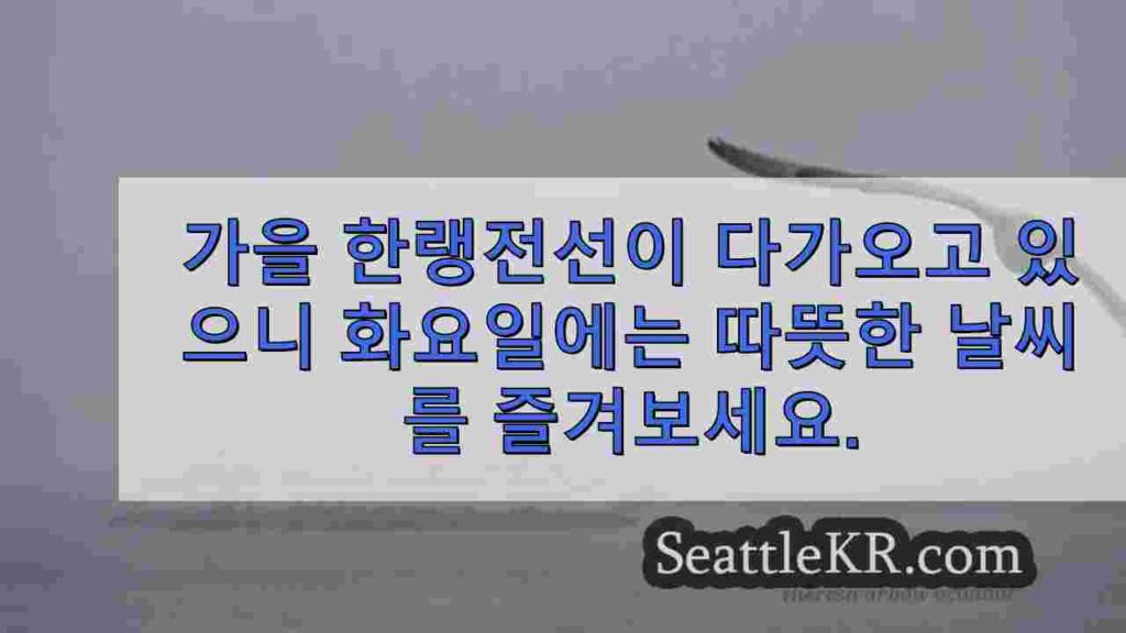비를 가져올 산들 바람이 부는 첫 번째 가을 폭풍, 15도 기온 강하
