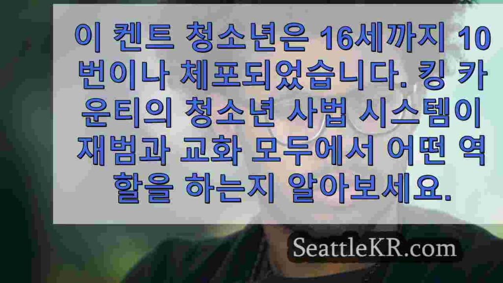 미성년자 및 체포 중: 킹 카운티 청소년 사법 시스템 내부