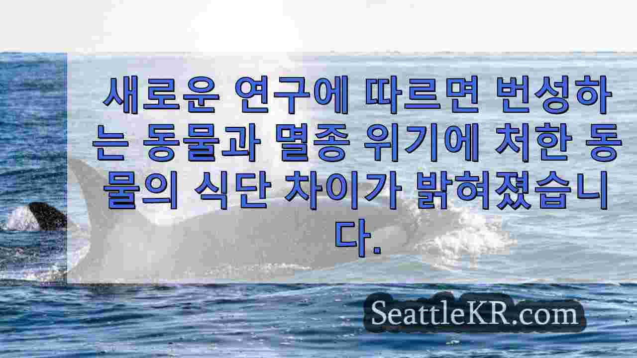 새로운 연구에 따르면 번성하는 범고래 개체군과 멸종 위기에 처한 범고래 개체군 간의 식단 차이가 밝혀졌습니다.