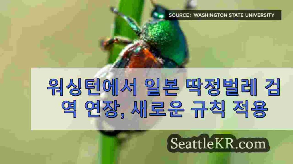 워싱턴에서 일본 딱정벌레 검역 연장, 새로운 규칙 9 월 15 일 발효