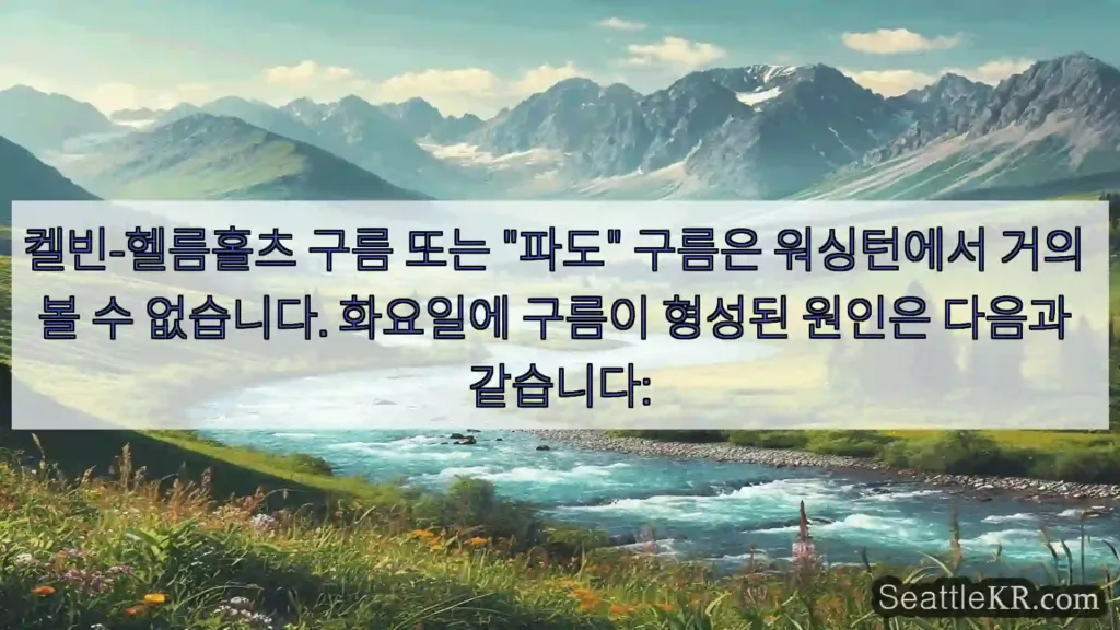 시애틀 뉴스 켈빈-헬름홀츠 구름 또는 "파도" 구름은 워싱턴에서 거의 볼
