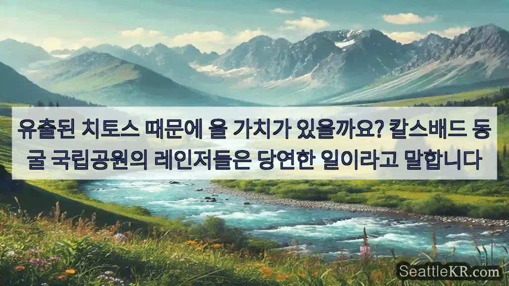 시애틀 뉴스 유출된 치토스 때문에 울 가치가 있을까요? 칼스배드 동굴
