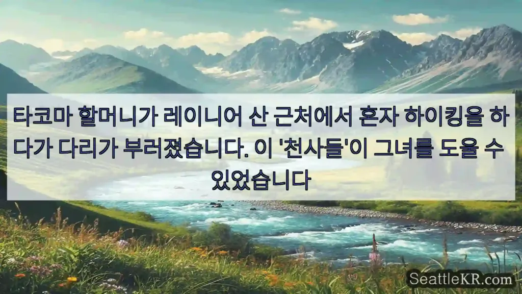 시애틀 뉴스 타코마 할머니가 레이니어 산 근처에서 혼자 하이킹을 하다가