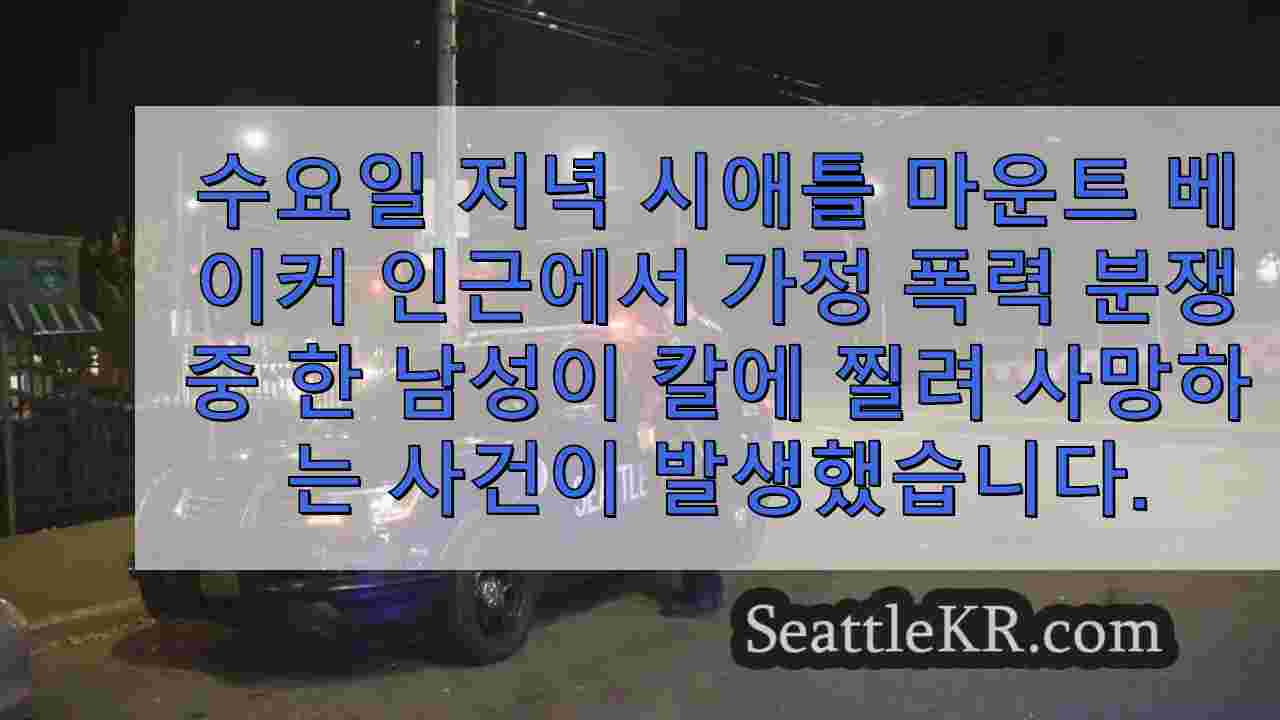 시애틀 마운트 베이커 인근에서 가정 분쟁 중 칼에 찔려 사망 한 남성