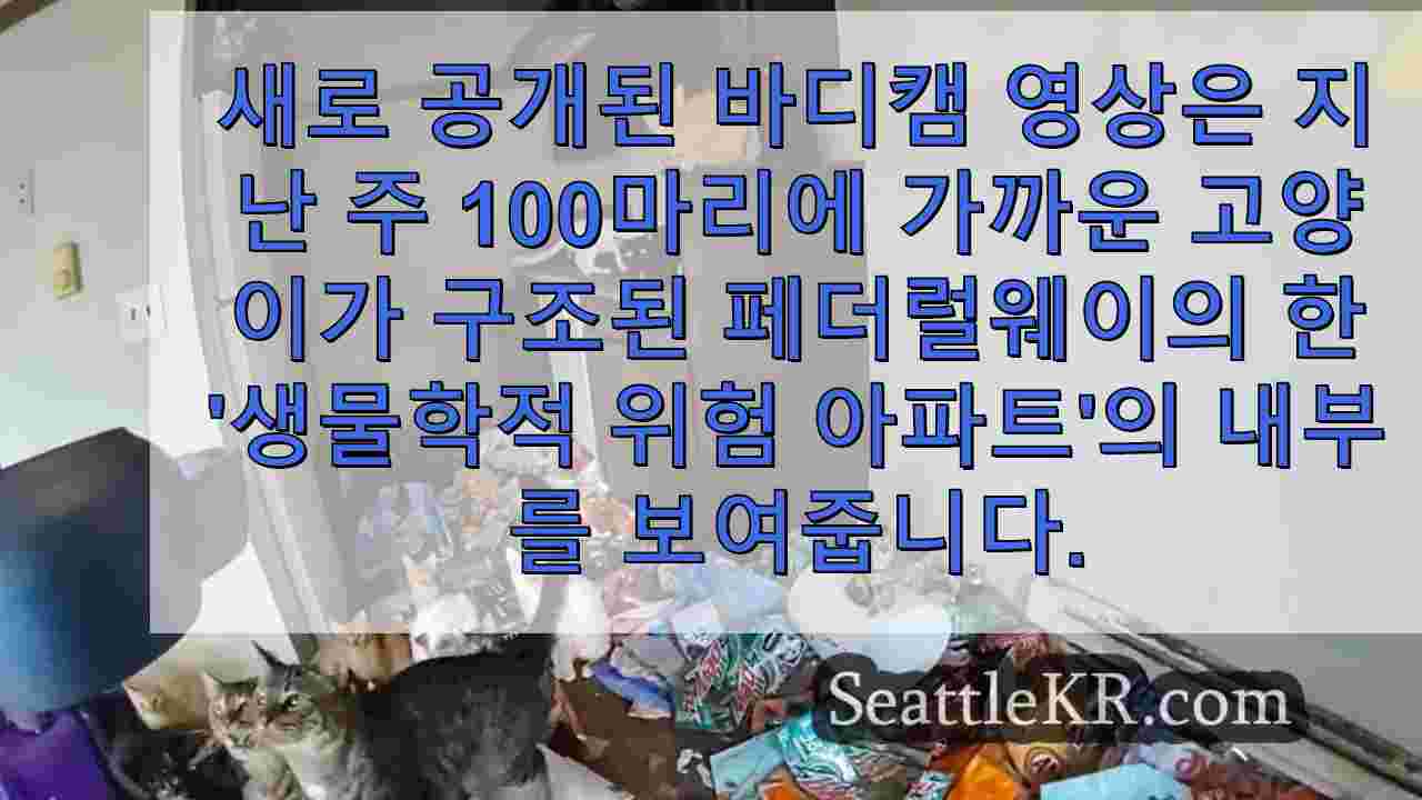 새로운 바디 카메라 비디오는 거의 100 마리의 고양이가 구조 된