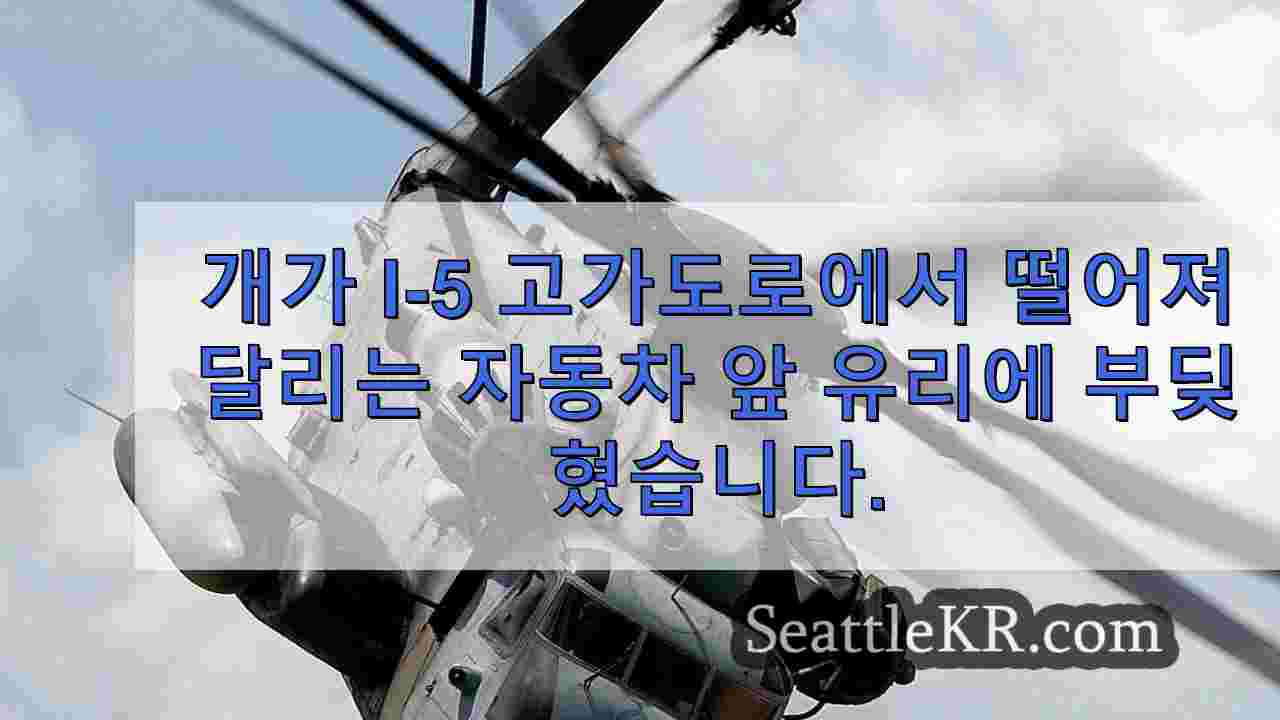 시애틀 뉴스 SeattleKR