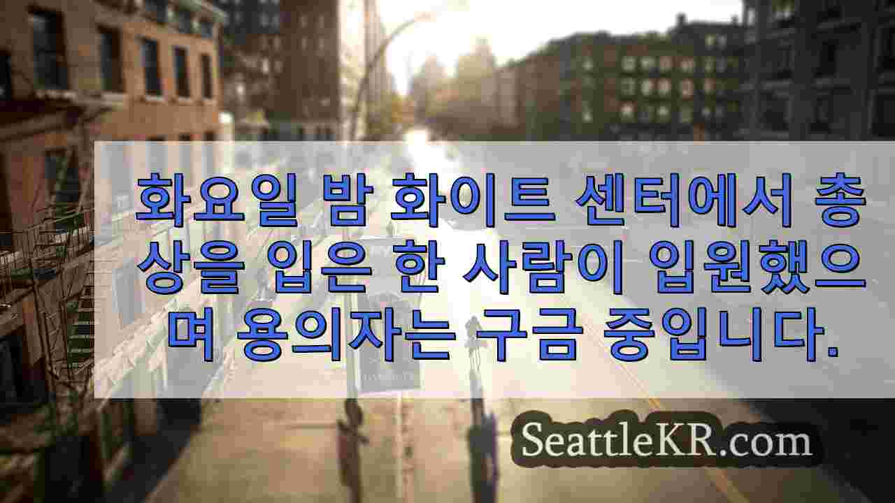 시애틀 뉴스 SeattleKR