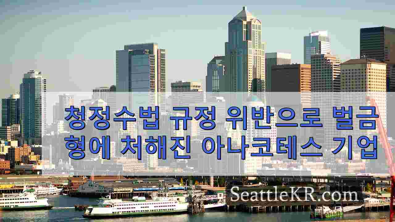 시애틀 뉴스 SeattleKR