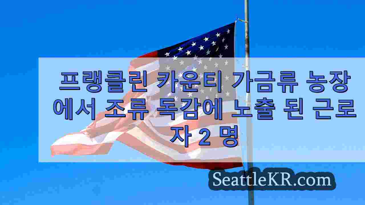 시애틀 뉴스 SeattleKR