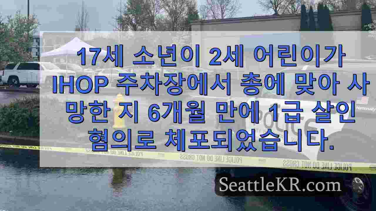 17세 소년, 페더럴웨이 아이홉 주차장에서 2세 살해 혐의로 체포됨