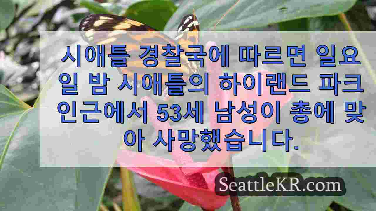 시애틀 뉴스 SeattleKR