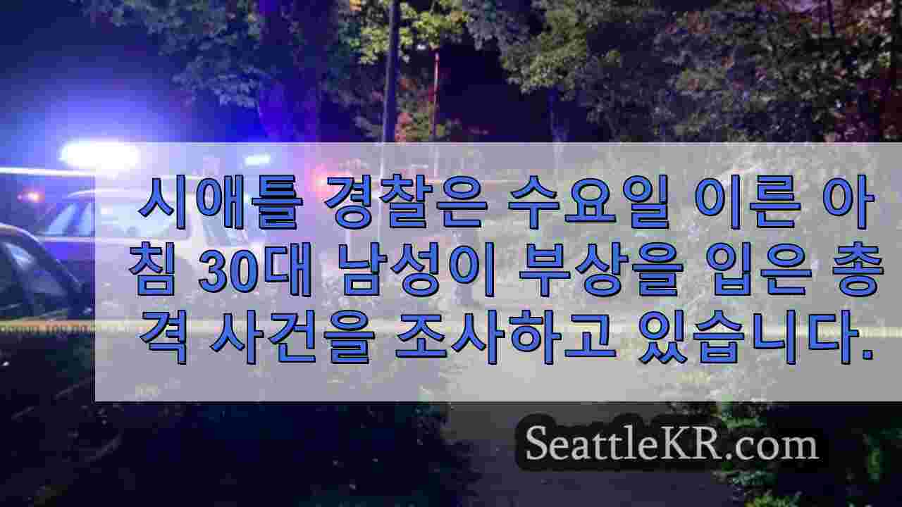 웨스트 시애틀에서 총에 맞은 남성, 심각한 상태로 입원