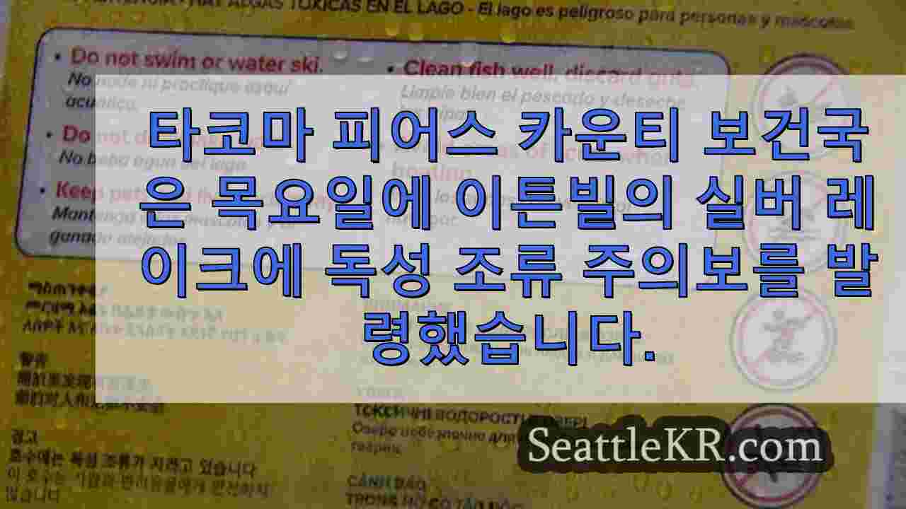 시애틀 뉴스 SeattleKR