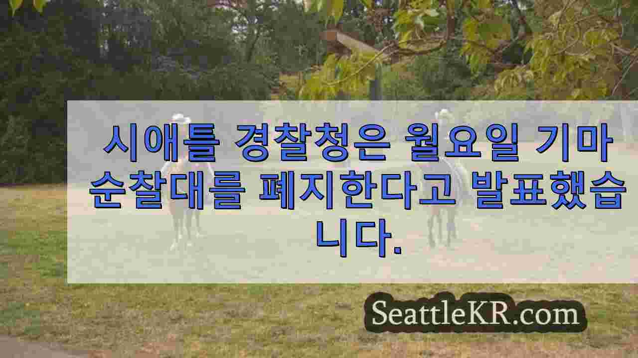 시애틀 뉴스 SeattleKR