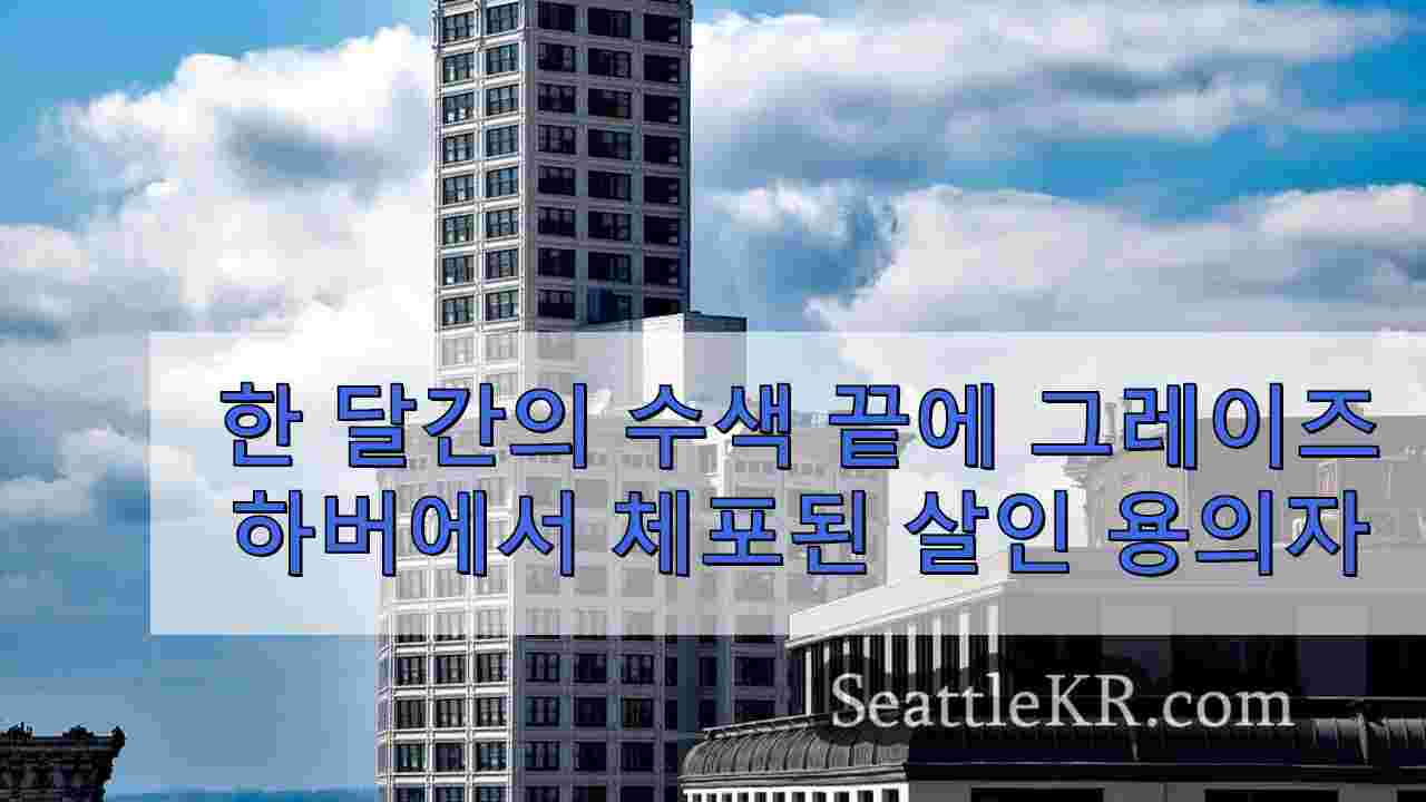 시애틀 뉴스 SeattleKR