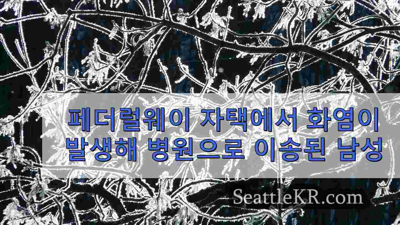 시애틀 뉴스 SeattleKR
