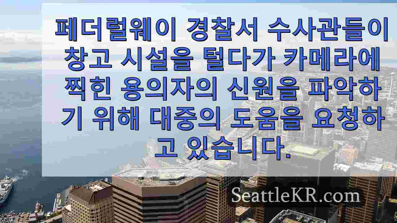 시애틀 뉴스 SeattleKR