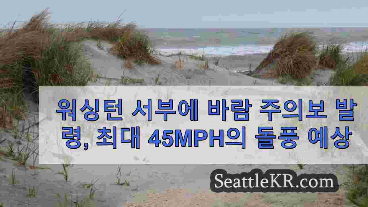 워싱턴 서부에 바람 주의보 발령, 최대 45mph의 돌풍 예상