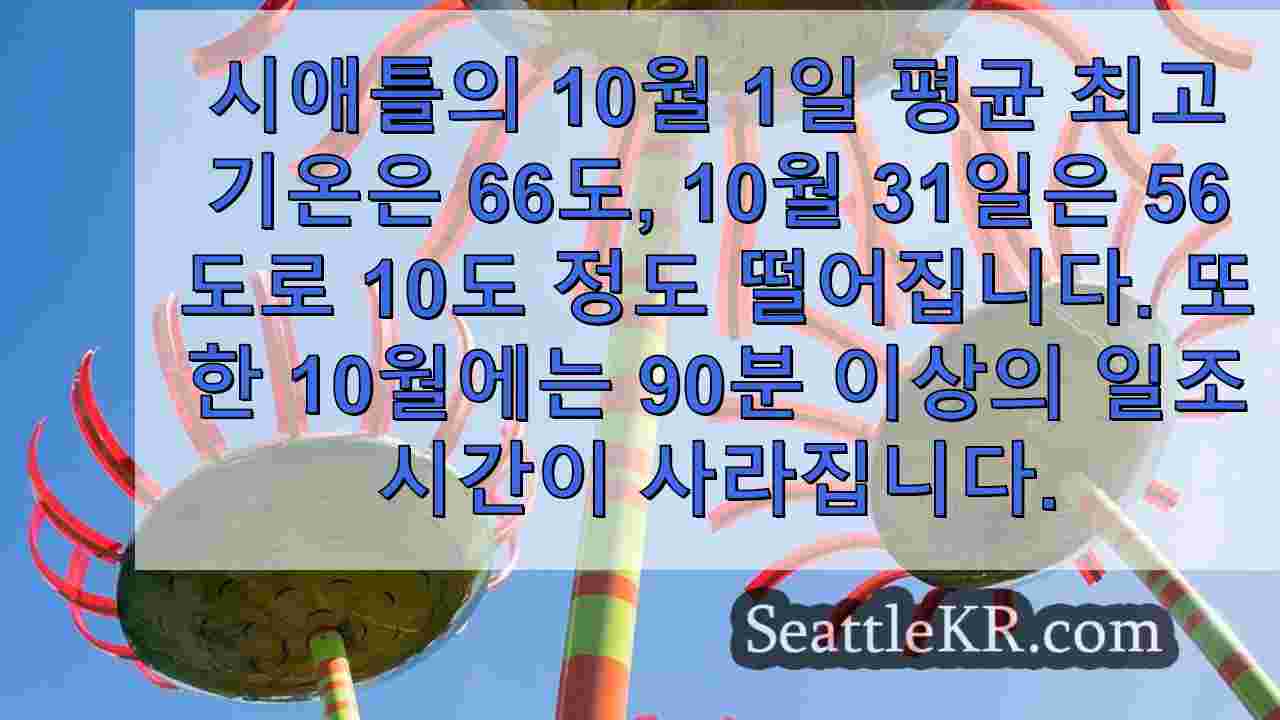 시애틀 뉴스 SeattleKR