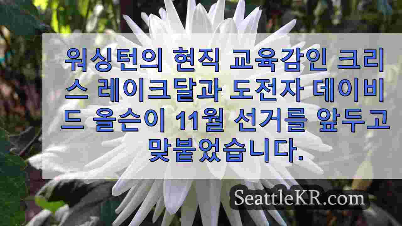 시애틀의 I-5에서 뺑소니가 카메라에 포착되고 용의자는 흡연 밴을 타고