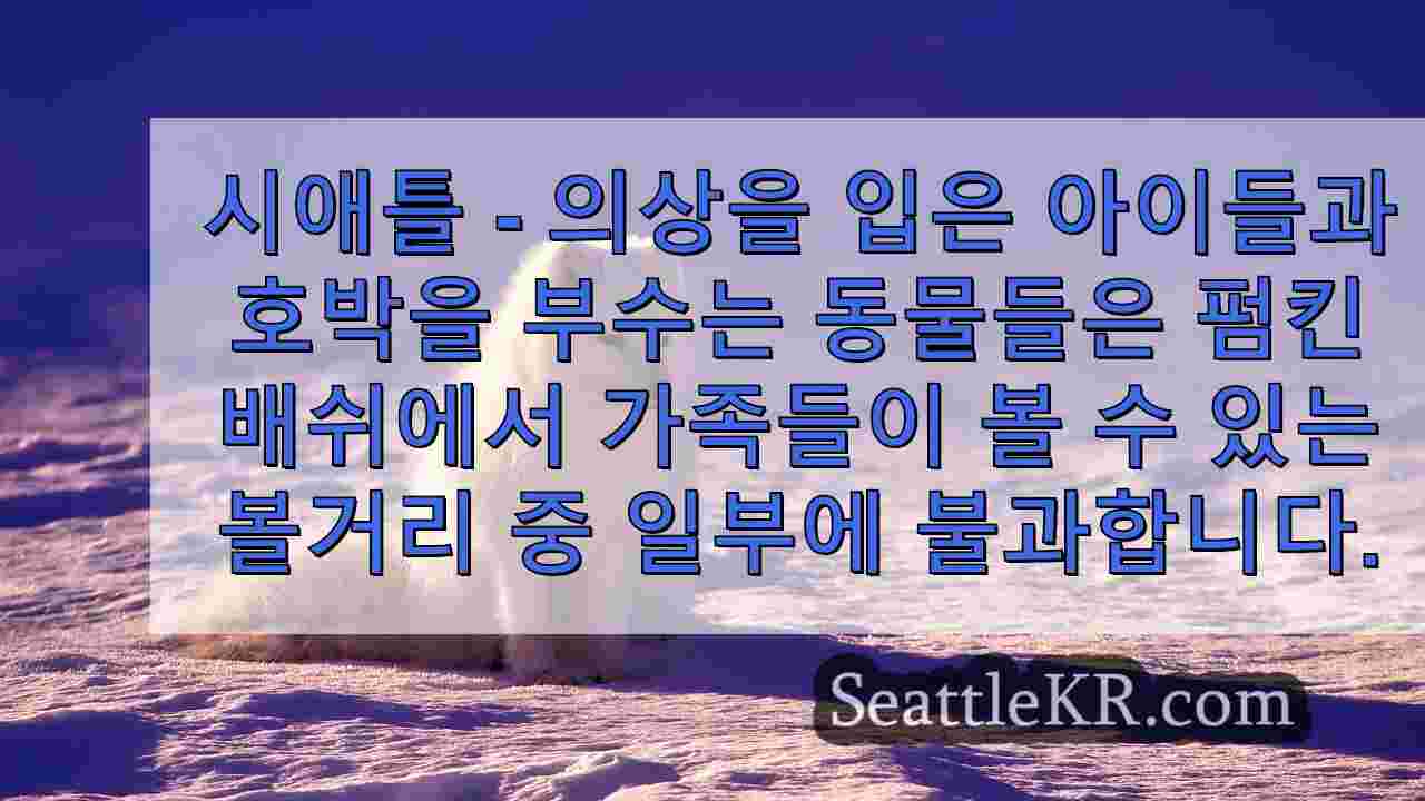 시애틀 뉴스 SeattleKR