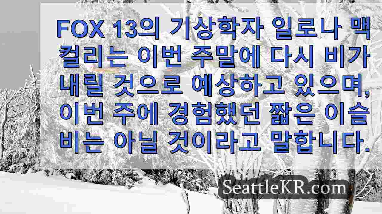 시애틀 뉴스 SeattleKR