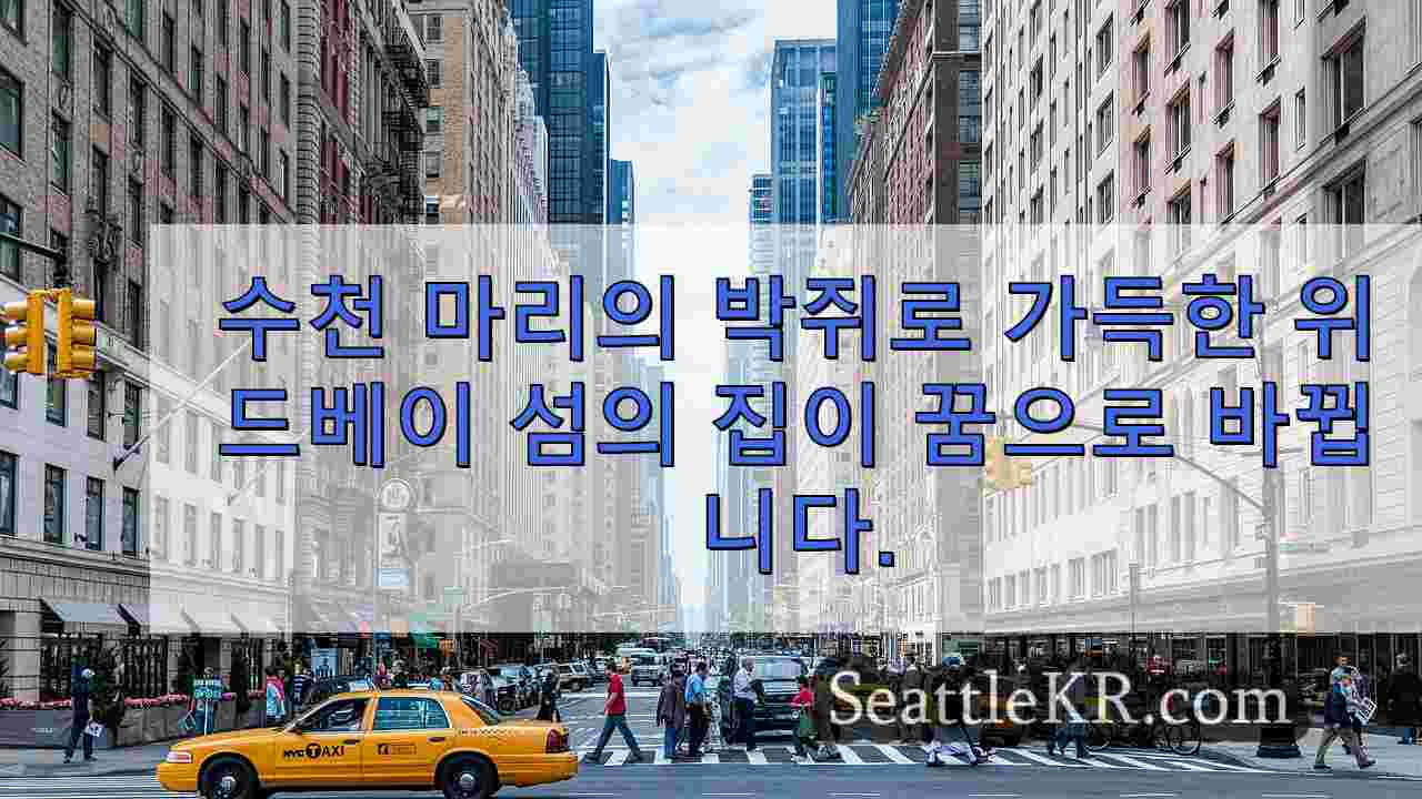 시애틀 뉴스 SeattleKR