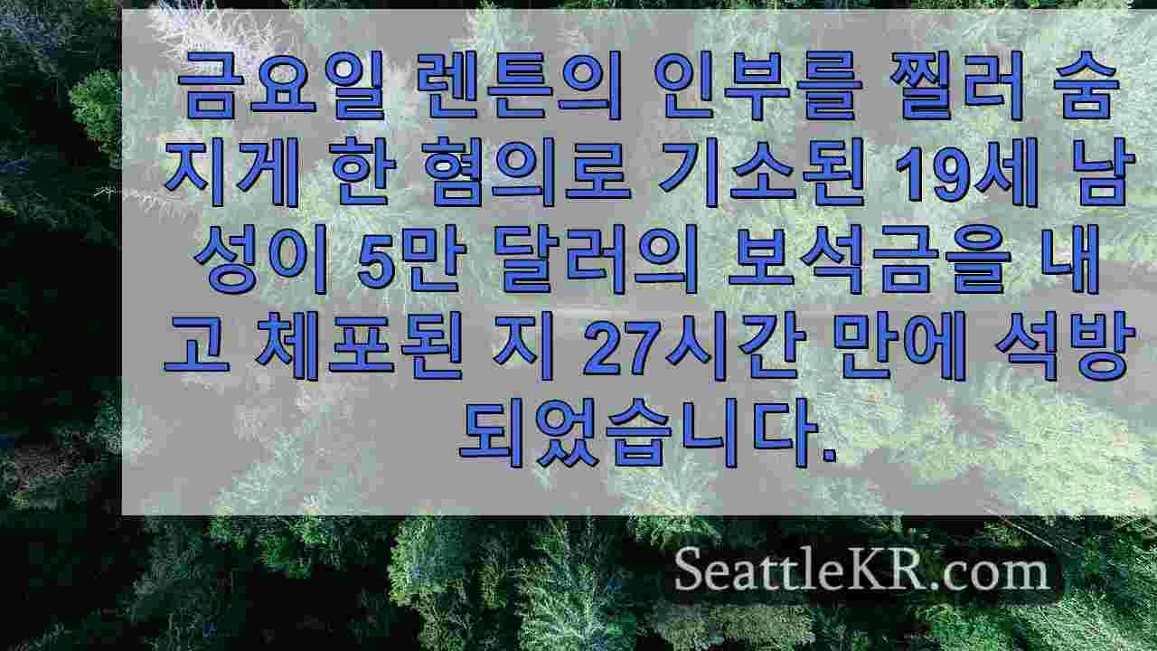 시애틀 뉴스 SeattleKR