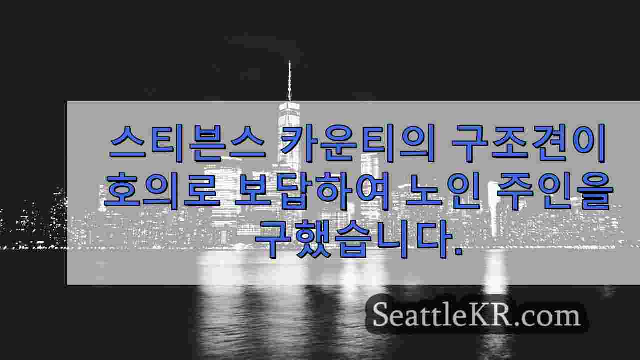 시애틀 뉴스 SeattleKR