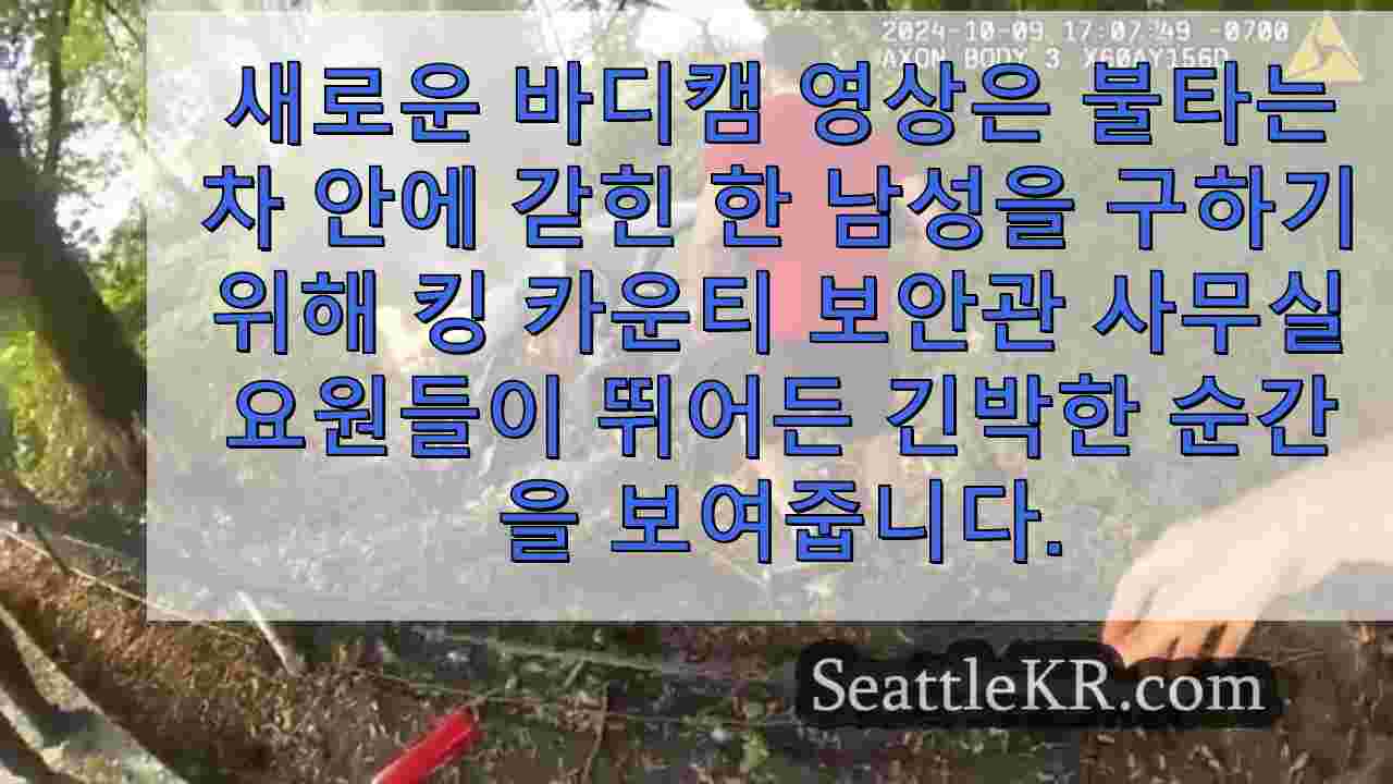 시애틀 뉴스 SeattleKR