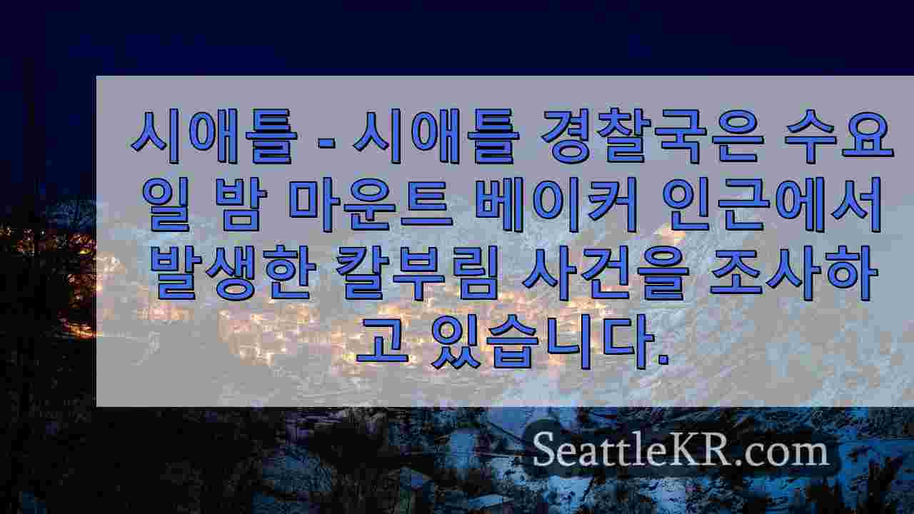 시애틀 뉴스 SeattleKR