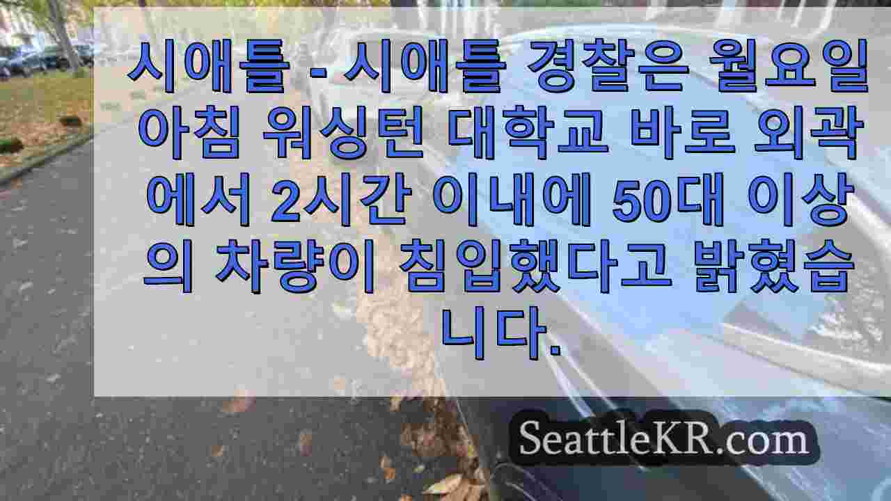 UW 그리스 행 근처에서 50 대 이상의 차량이 침입하여 파손되었습니다.
