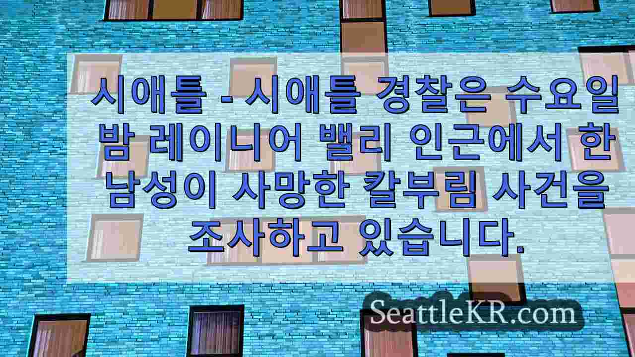 시애틀 뉴스 SeattleKR