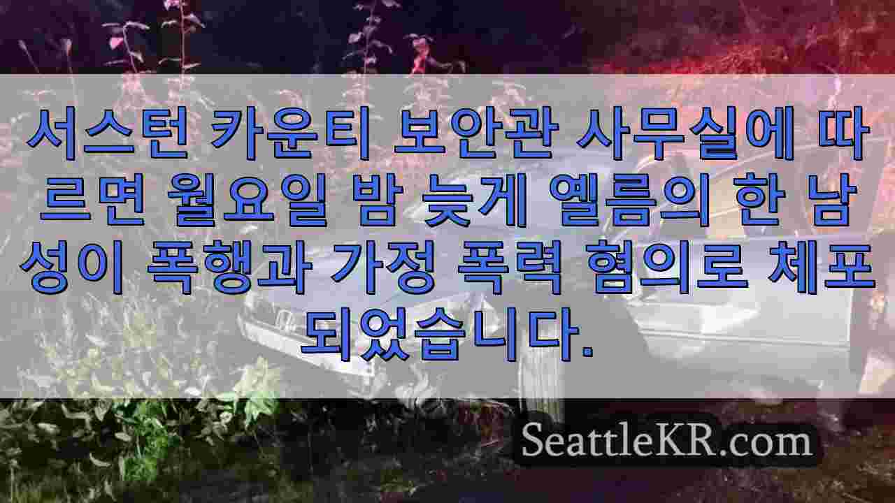 휘발유를 몸에 붓고 차를 훔친 후 가정 폭력 혐의로 체포 된 옐름 남성