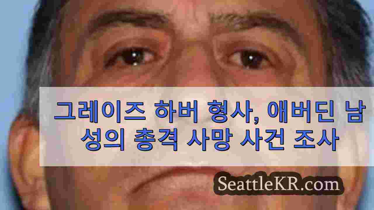 그레이즈 하버 형사, 애버딘 남성의 총격 사망 사건 조사