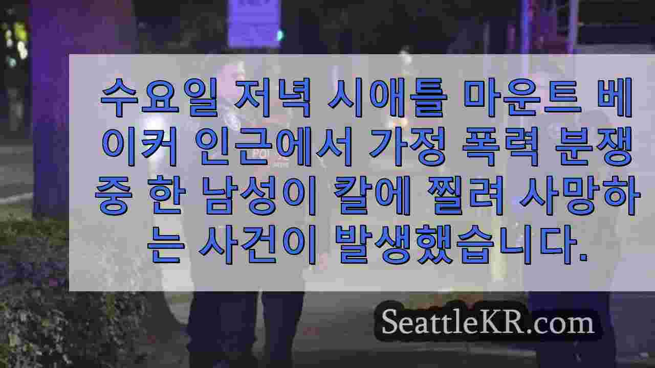 시애틀 뉴스 SeattleKR